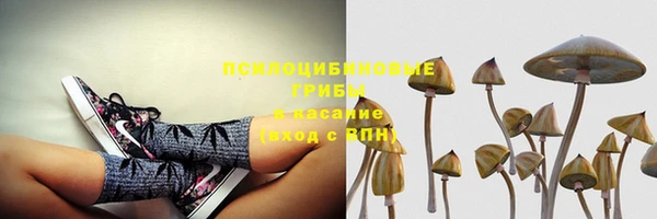 бошки Абинск