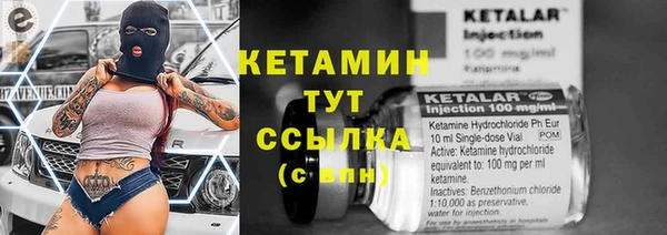 крисы Алексин