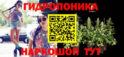 крисы Кумертау
