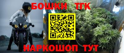 молекула духа Ижевск