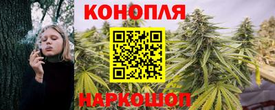 сатива Ивантеевка