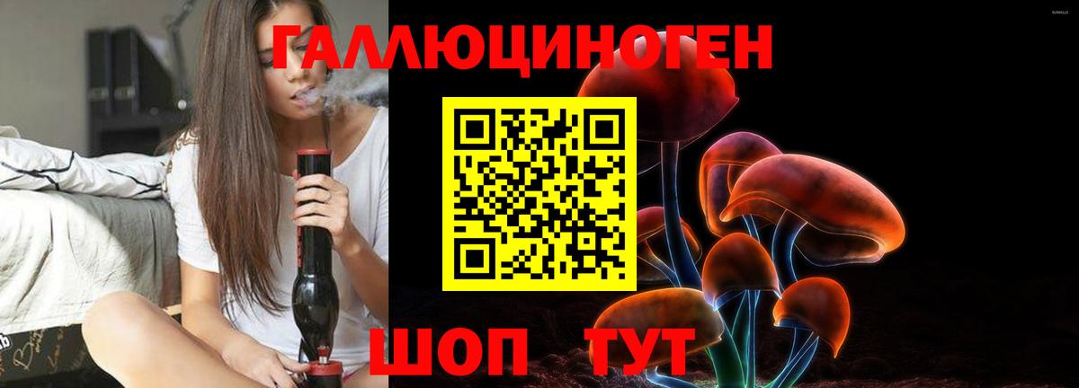 Галлюциногенные грибы GOLDEN TEACHER Дубна